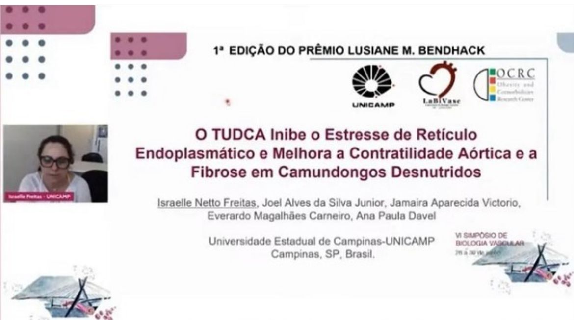 LaBiVasc participated in the online edition of the Simpósio de Biologia Vascular. 