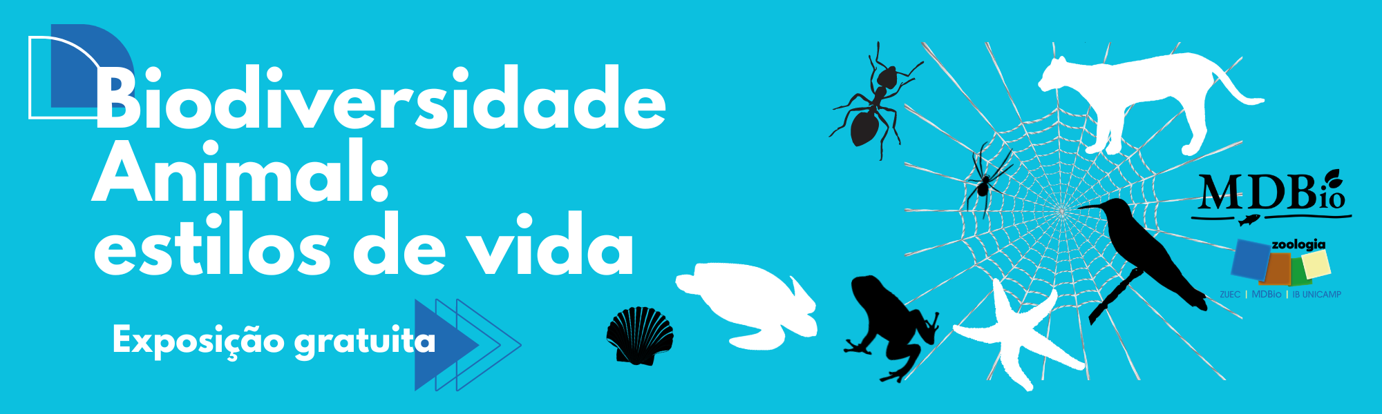 A biodiversidade brasileira estampada nas cédulas do Real - CIZ - Coleção  Itinerante de Zoologia
