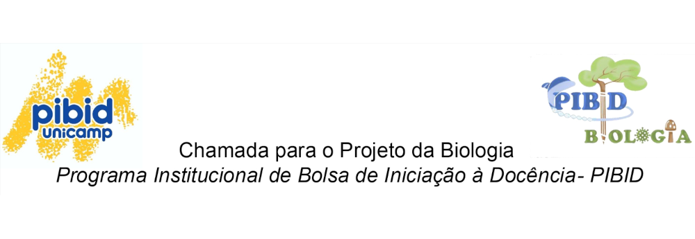 EDITAL DE SELEÇÃO PIBID - POGRAMA INSTITUCIONAL DE BOLSA DE INICIAÇÃO À DOCÊNCIA