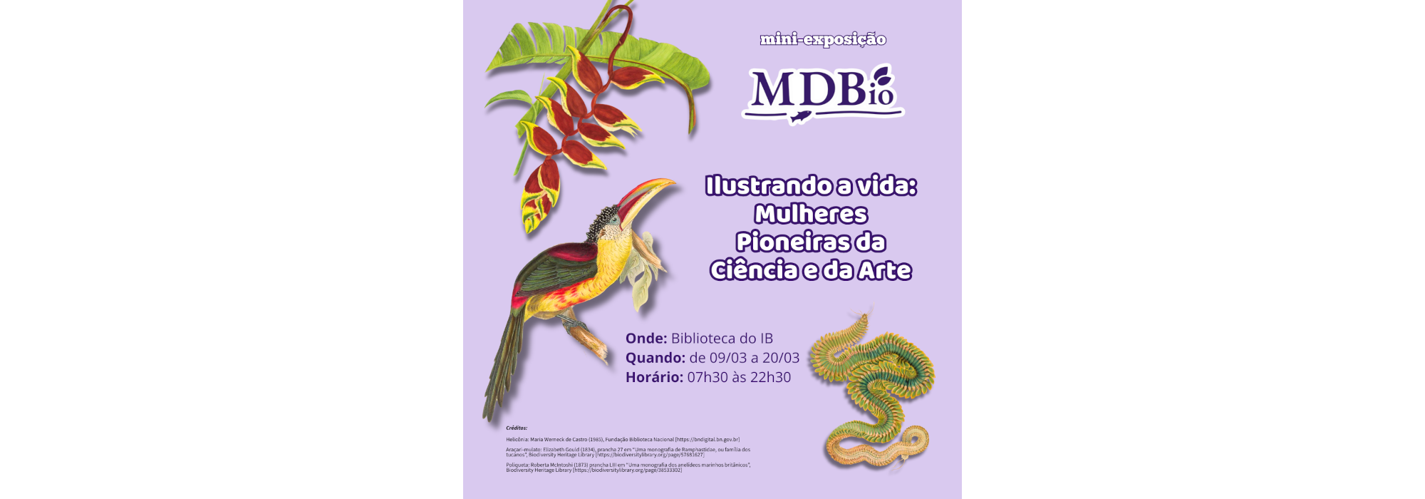 Mini exposição - Ilustrando a vida: Mulheres pioneiras da Ciência e da Arte